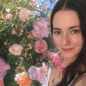 Meet your Posher, Lindsay